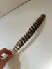Wild Turkey Primary Wing Feather - 2