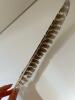 Wild Turkey Primary Wing Feather - 3