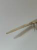 Wild Turkey Primary Wing Feather - 4