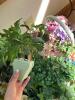 Artificial Mixed Floral Arrangements, Wicker Baskets, Count of 15 - 2