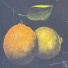 Framed Still Life Wall Art, Signed by Gusini 18"x16" - 7
