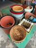 Large Assorted Garden Pots & Planters Lot With Rolling Cart - 2