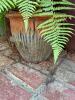 Large Outdoor Ferns in Decorative Planters - 3