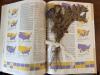 Large 1975 Reader's Digest "These United States" Atlas Reference Book, Maps - 6