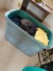 Large Tote of Men's Clothes