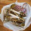 Lot of Electric Window Candle Lights