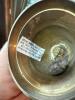 Solid Brass Hand Bell - 4