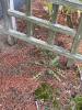 Wooden Garden Arbor Trellis - 4