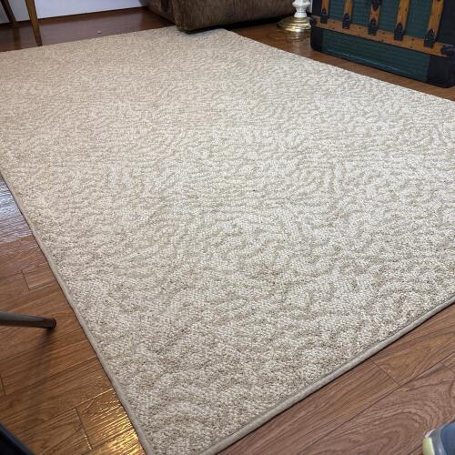 Beige Rectangle Loop Pile Area Rug, Approx 8x5 feet