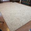 Beige Rectangle Loop Pile Area Rug, Approx 8x5 feet