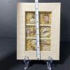 Michael Alan Designs 2003 Framed Shell & Starfish Shadow Box - 4