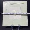 Seashell Ceramic/Plaster Wall Plaque - 4