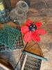 Mixed Lot of Bird Feeders and Suet Cages - 3