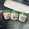 Set of 3 Ceramic Herb Pots with Tray & Floral Design - 3