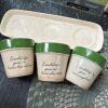 Set of 3 Ceramic Herb Pots with Tray & Floral Design - 4