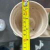 Set of 3 Ceramic Herb Pots with Tray & Floral Design - 8