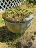 Concrete Garden Planter - 3