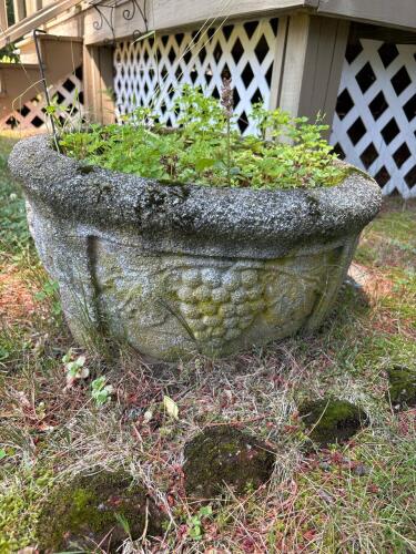Vintage Concrete Planter