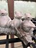 Decorative Garden Statue - Five Frogs on Log - 3