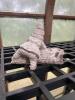 Small Concrete Garden Gnome Welcome Statue - 2