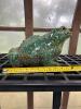 Large Realistic Glazed Ceramic Frog Garden Statue - 5
