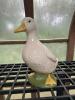Large Glazed Ceramic Duck Statue