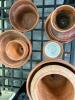 Terracotta Flower Pot and Saucer Lot- Various Sizes - 2