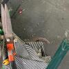 Assorted Garden Tool Lot With Foldable Kneeler/Seat, Storage Bag, Shears, Trowels, Gloves - 5