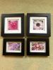 Set of 4 Floral Photos in Frames