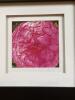 Set of 4 Floral Photos in Frames - 2