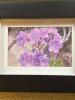 Set of 4 Floral Photos in Frames - 4