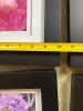 Set of 4 Floral Photos in Frames - 7