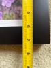 Set of 4 Floral Photos in Frames - 10