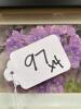 Set of 4 Floral Photos in Frames - 11