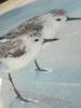 17" x Limited Edition June Fortin Shorebirds Framed Print 701/1000 - 2