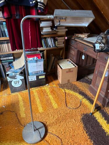 Mid-Century Modern Adjustable Gooseneck Floor Lamp