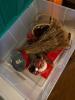 Large Christmas & Holiday Picker's Lot - 2