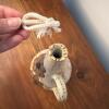 Ceramic Oil Lamp by Cindy Angliss, Signed - 2