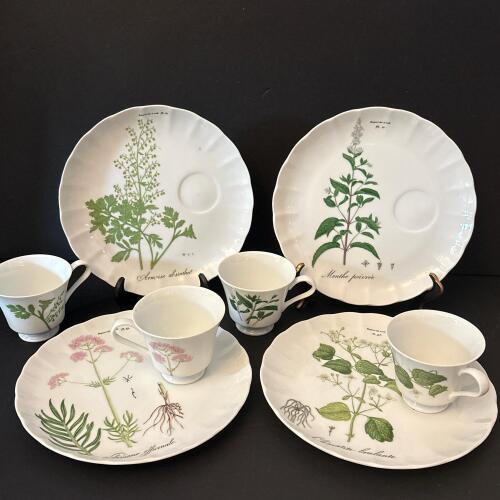 Taste Setter Collection Eight Piece Botanical Porcelain Teacup and Saucer Set