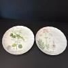Taste Setter Collection Eight Piece Botanical Porcelain Teacup and Saucer Set - 7