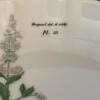 Taste Setter Collection Eight Piece Botanical Porcelain Teacup and Saucer Set - 13