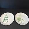 Taste Setter Collection Eight Piece Botanical Porcelain Teacup and Saucer Set - 14