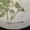 Taste Setter Collection Eight Piece Botanical Porcelain Teacup and Saucer Set - 16
