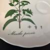 Taste Setter Collection Eight Piece Botanical Porcelain Teacup and Saucer Set - 17