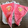 Soviet-Era Vologda Memorabilia Lot: Pennants, Linen Bag, Wooden Plaque - 2