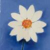 12"x14" Framed "Shasta Daisies" Wall Art by Turner - 2