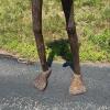 Large African Folk Art Hand-Carved Wooden Tribal Figure - 6