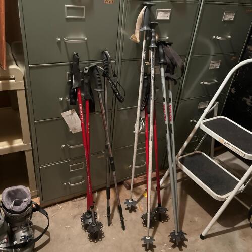 Snowshoeing Pole Lot- L.L. Bean and Yukon Charlie's 3-Piece Telescoping Trekking/Snowshoeing Poles