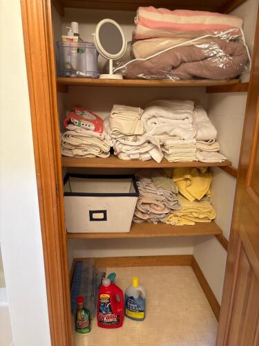 Bathroom Closet Lot #2