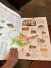 Very Large National Geographic Historical Atlas' - 3